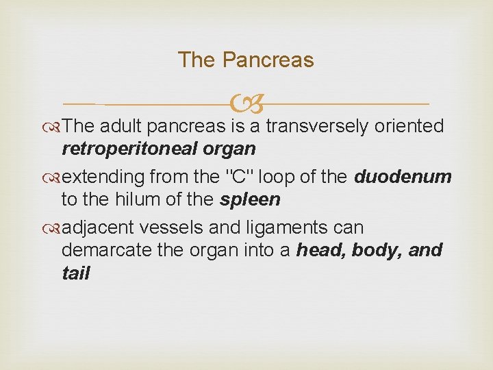 The Pancreas The adult pancreas is a transversely oriented retroperitoneal organ extending from the