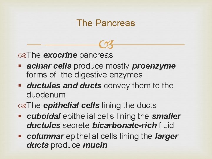 The Pancreas The exocrine pancreas § acinar cells produce mostly proenzyme forms of the
