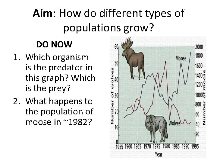 Aim: How do different types of populations grow? DO NOW 1. Which organism is