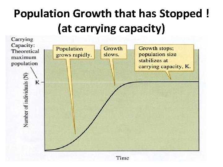 Population Growth that has Stopped ! (at carrying capacity) 