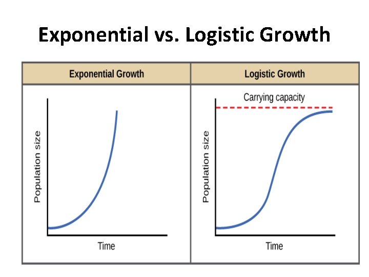 Exponential vs. Logistic Growth 