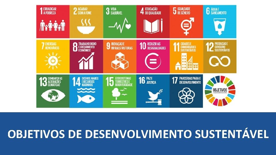 OBJETIVOS DE DESENVOLVIMENTO SUSTENTÁVEL SELURB 