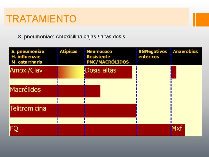 TRATAMIENTO S. pneumoniae: Amoxicilina bajas / altas dosis 