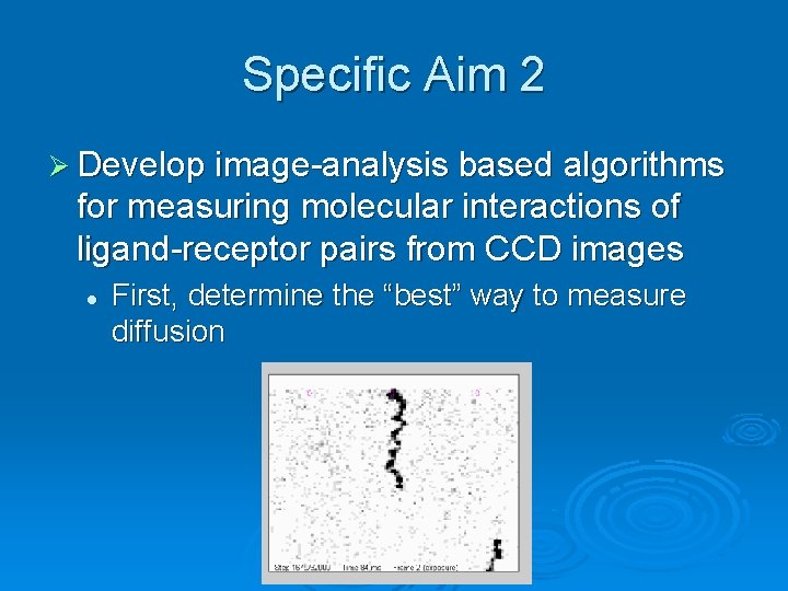Specific Aim 2 Ø Develop image-analysis based algorithms for measuring molecular interactions of ligand-receptor