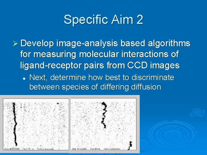 Specific Aim 2 Ø Develop image-analysis based algorithms for measuring molecular interactions of ligand-receptor