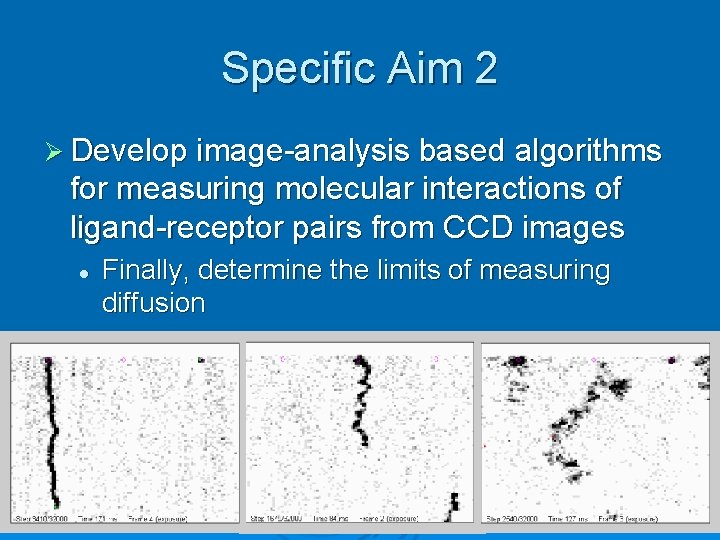 Specific Aim 2 Ø Develop image-analysis based algorithms for measuring molecular interactions of ligand-receptor