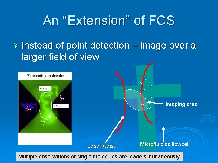 An “Extension” of FCS Ø Instead of point detection – image over a larger