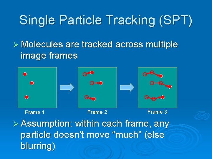 Single Particle Tracking (SPT) Ø Molecules are tracked across multiple image frames Frame 1