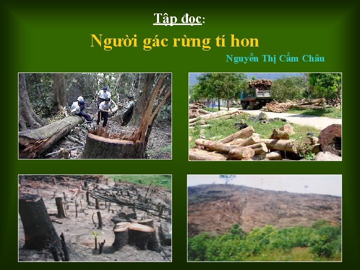 Tập đọc: Người gác rừng tí hon Nguyễn Thị Cẩm Châu 