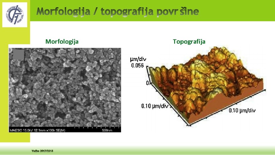 Morfologija Topografija 