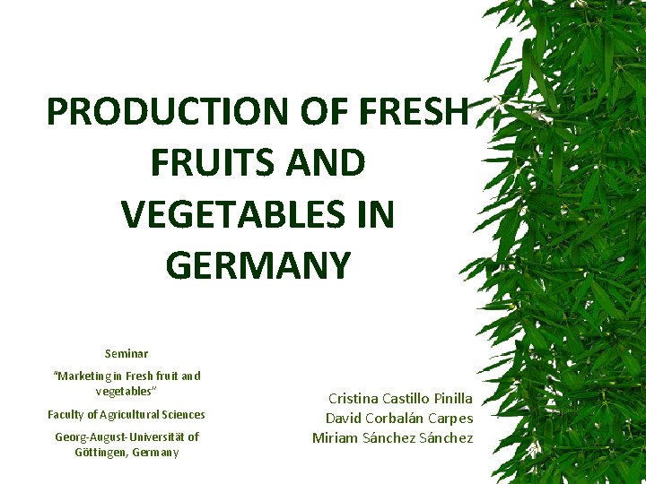 PRODUCTION OF FRESH FRUITS AND VEGETABLES IN GERMANY Seminar “Marketing in Fresh fruit and