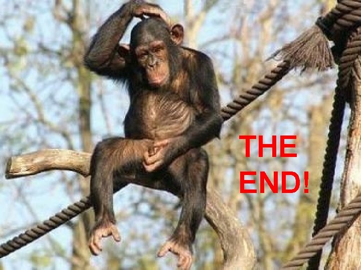 THE END! THE END!