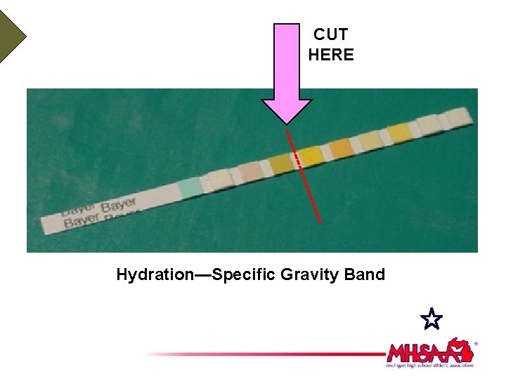 CUT HERE Hydration—Specific Gravity Band 