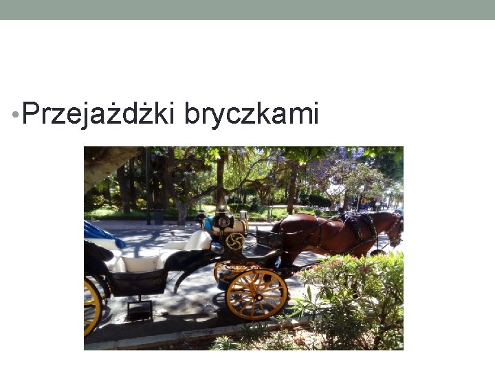  • Przejażdżki bryczkami 