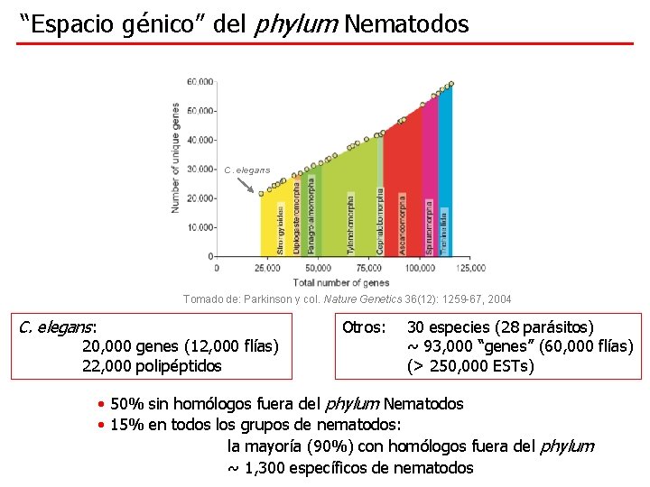 “Espacio génico” del phylum Nematodos C. elegans Tomado de: Parkinson y col. Nature Genetics