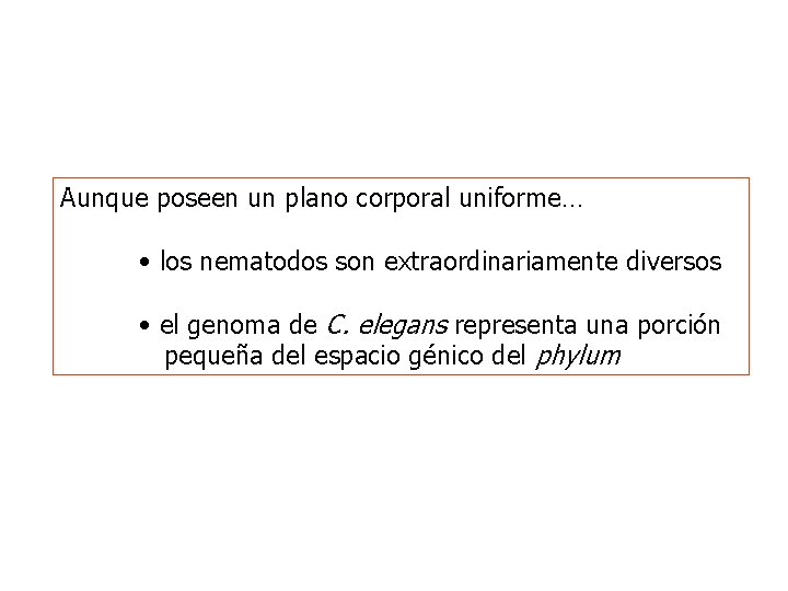 Aunque poseen un plano corporal uniforme… • los nematodos son extraordinariamente diversos • el