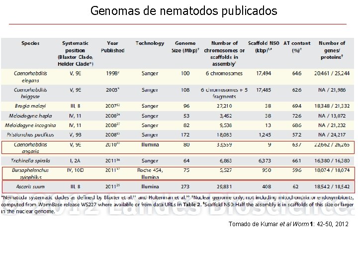 Genomas de nematodos publicados Tomado de Kumar et al Worm 1: 42 -50, 2012