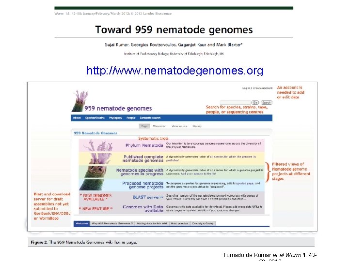 http: //www. nematodegenomes. org Tomado de Kumar et al Worm 1: 42 - 