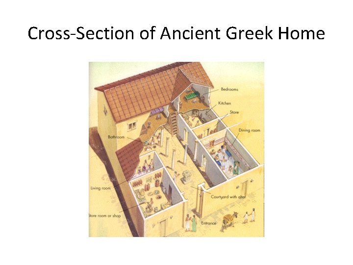 Cross-Section of Ancient Greek Home 