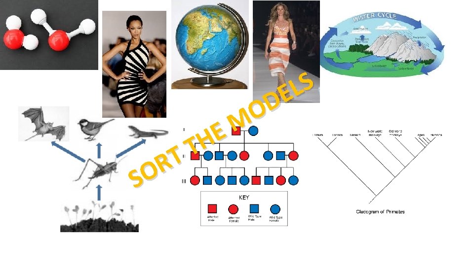 T R SO S L E D O M E TH T R SO S L E D O M E TH