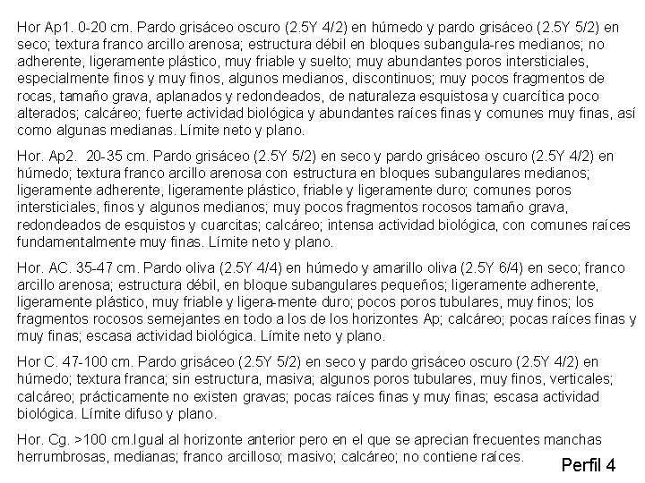 Hor Ap 1. 0 20 cm. Pardo grisáceo oscuro (2. 5 Y 4/2) en
