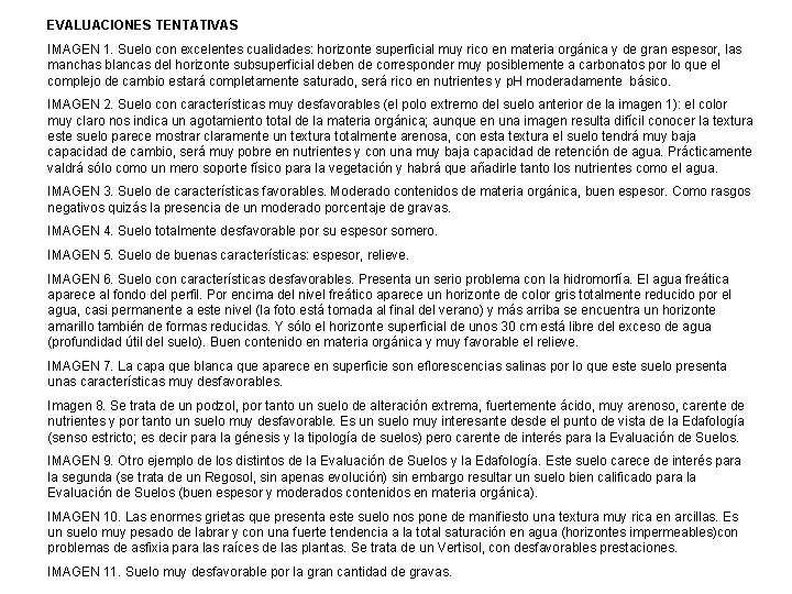 EVALUACIONES TENTATIVAS IMAGEN 1. Suelo con excelentes cualidades: horizonte superficial muy rico en materia