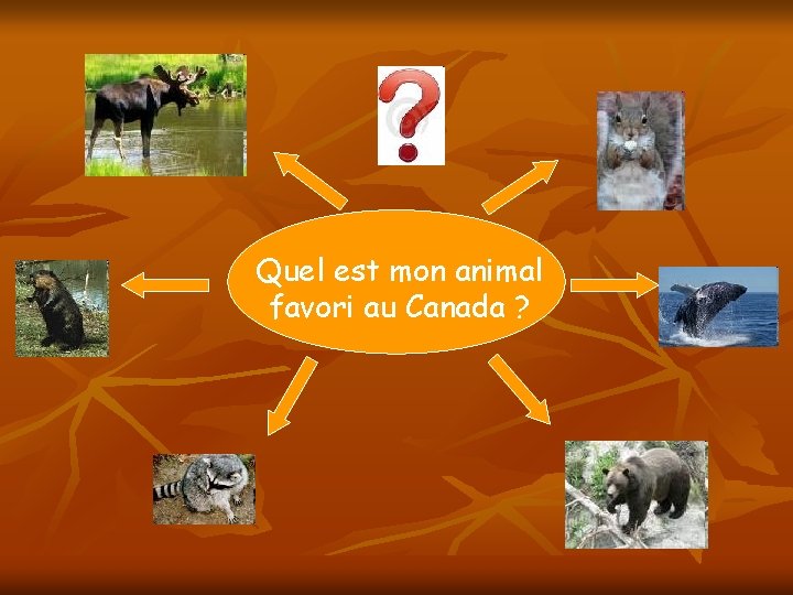 Quel est mon animal favori au Canada ? 