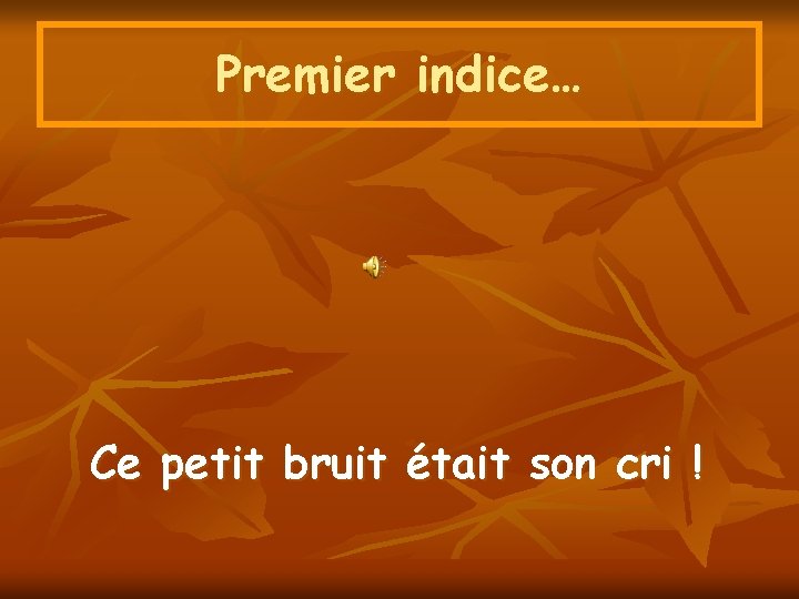 Premier indice… Ce petit bruit était son cri ! 