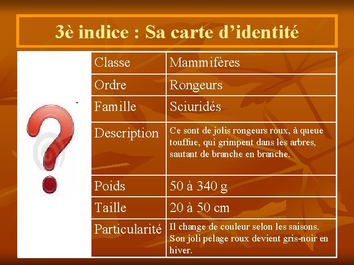 3è indice : Sa carte d’identité Classe Mammifères Ordre Rongeurs Famille Sciuridés Description Ce