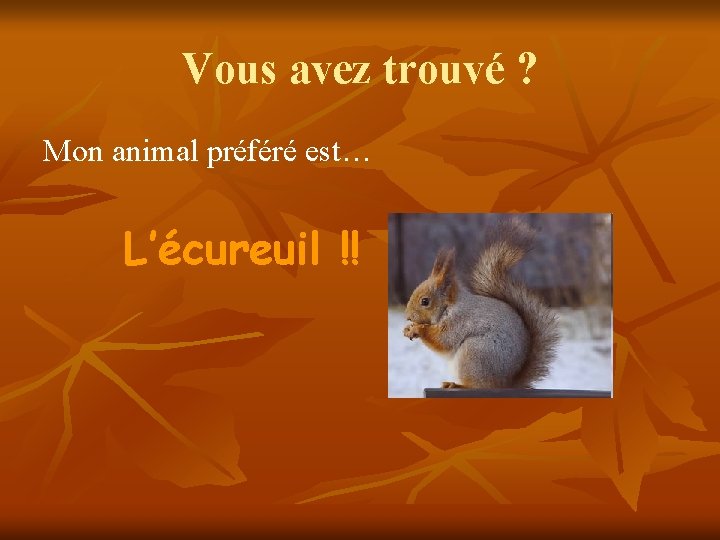 Vous avez trouvé ? Mon animal préféré est… L’écureuil !! 