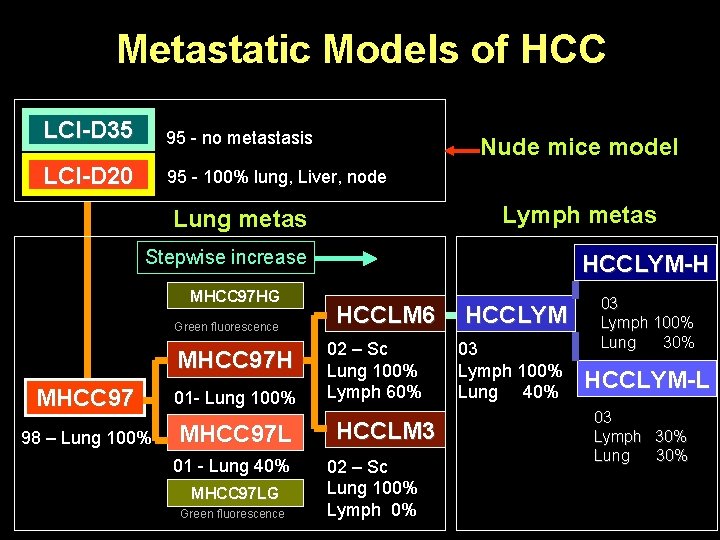  Metastatic Models of HCC LCI-D 35 95 - no metastasis LCI-D 20 95