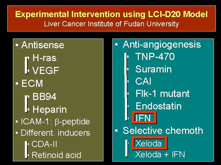 Experimental Intervention using LCI-D 20 Model Liver Cancer Institute of Fudan University • Antisense