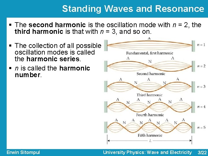 Standing Waves and Resonance § The second harmonic is the oscillation mode with n