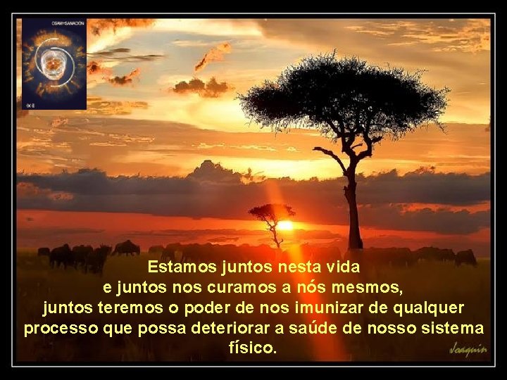 Estamos juntos nesta vida e juntos nos curamos a nós mesmos, juntos teremos o