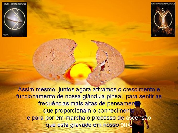 Assim mesmo, juntos agora ativamos o crescimento e funcionamento de nossa glândula pineal, para