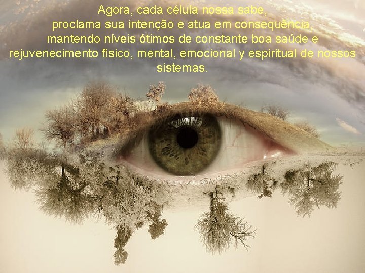 Agora, cada célula nossa sabe, proclama sua intenção e atua em consequência, mantendo níveis
