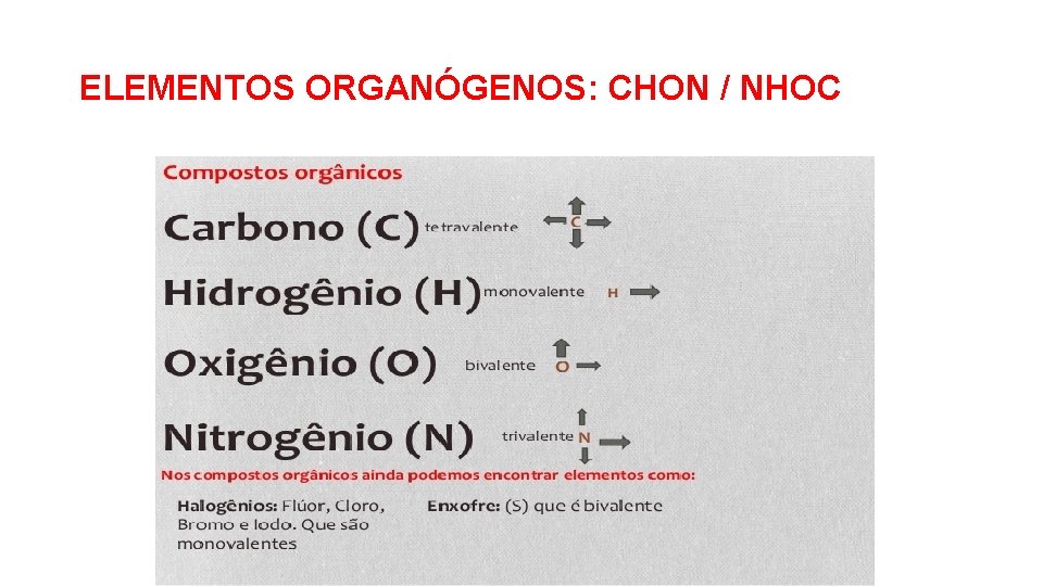 ELEMENTOS ORGANÓGENOS: CHON / NHOC 