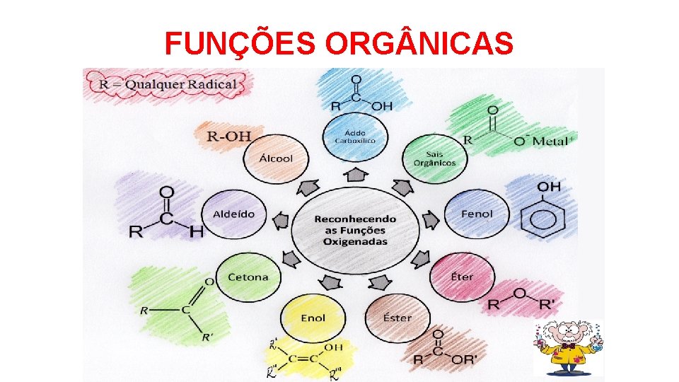 FUNÇÕES ORG NICAS 