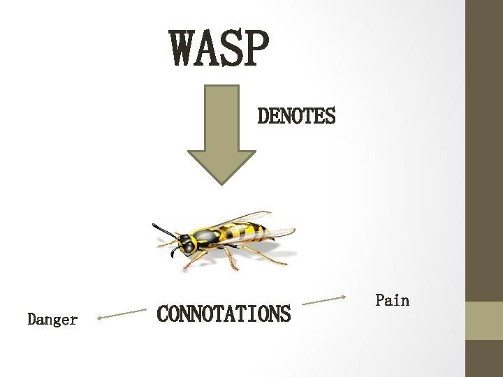 WASP DENOTES Danger CONNOTATIONS Pain 