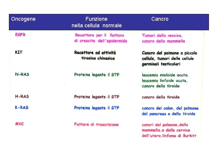 Oncogene Funzione nella cellula normale Cancro Oncogene Funzione nella cellula normale Cancro