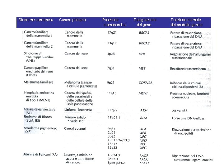 Sindrome cancerosa Cancro primario Posizione cromosomica Designazione del gene Funzione normale del prodotto genico