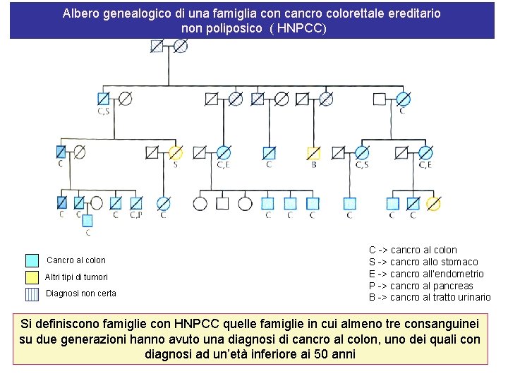 Albero genealogico di una famiglia con cancro colorettale ereditario non poliposico ( HNPCC) Cancro