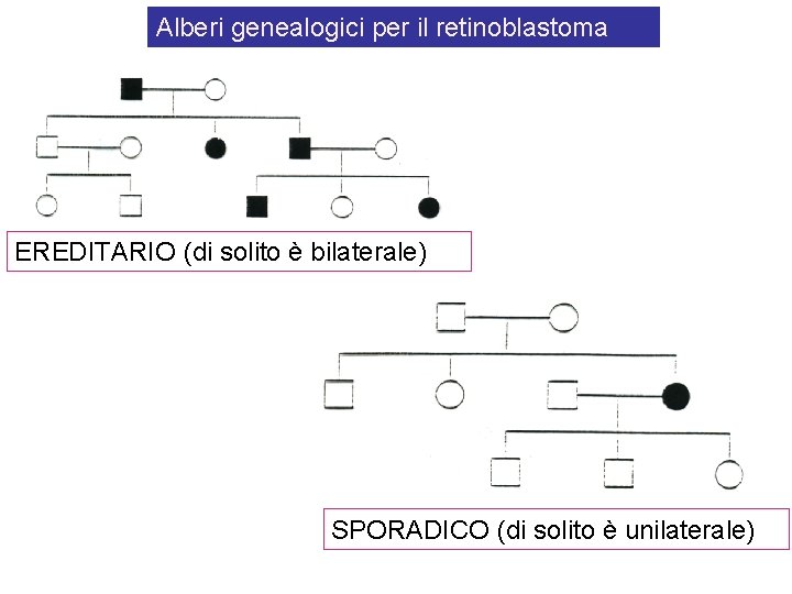 Alberi genealogici per il retinoblastoma EREDITARIO (di solito è bilaterale) SPORADICO (di solito è Alberi genealogici per il retinoblastoma EREDITARIO (di solito è bilaterale) SPORADICO (di solito è