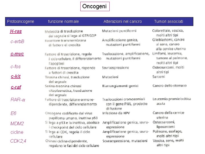 Oncogeni Protooncogene H-ras c-erb. B c-myc c-fos c-kit c-raf RAR- E 6 MDM 2