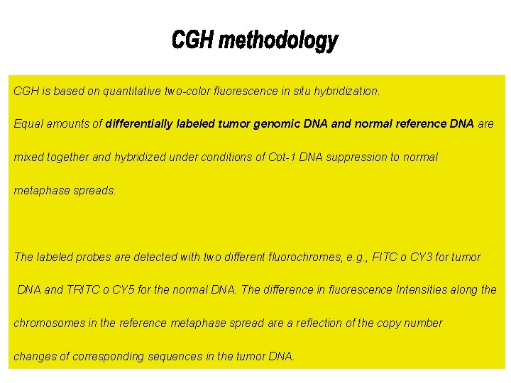 CGH is based on quantitative two-color fluorescence in situ hybridization. Equal amounts of differentially CGH is based on quantitative two-color fluorescence in situ hybridization. Equal amounts of differentially