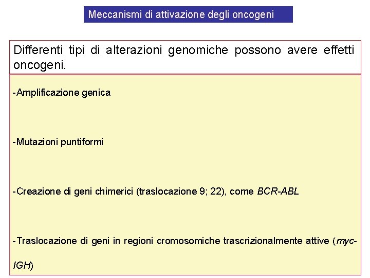 Meccanismi di attivazione degli oncogeni Differenti tipi di alterazioni genomiche possono avere effetti oncogeni. Meccanismi di attivazione degli oncogeni Differenti tipi di alterazioni genomiche possono avere effetti oncogeni.