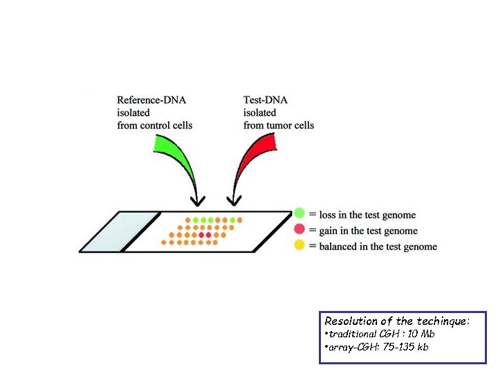 Array-CGH greatly improves the resolution of the CGH technique by substituting the hybridization target, Array-CGH greatly improves the resolution of the CGH technique by substituting the hybridization target,