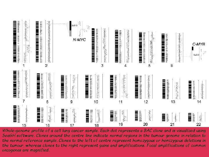 Whole-genome profile of a cell lung cancer sample. Each dot represents a BAC clone