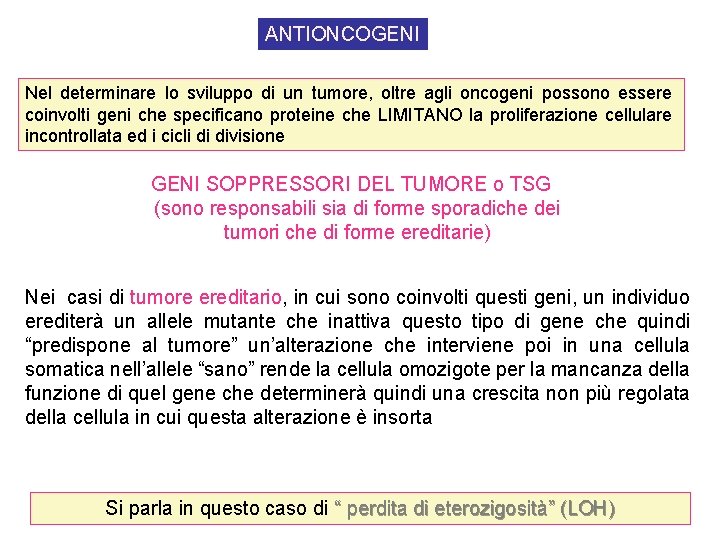 ANTIONCOGENI Nel determinare lo sviluppo di un tumore, oltre agli oncogeni possono essere coinvolti