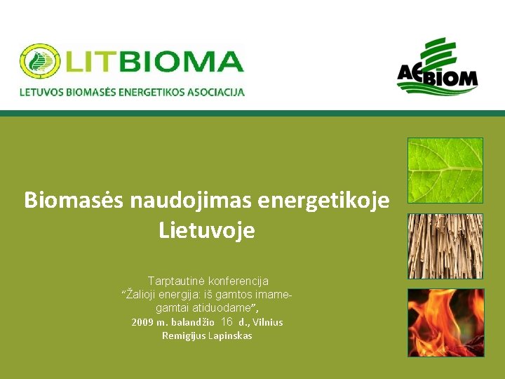 Biomasės naudojimas energetikoje Lietuvoje Tarptautinė konferencija “Žalioji energija: iš gamtos imamegamtai atiduodame”, 2009 m.